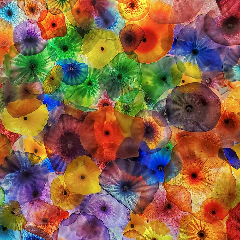 Modal & Cashmere Scarf - Bloom - Barrington's