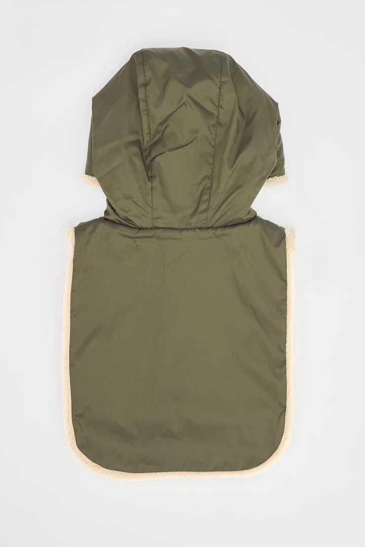 Tanta- Hooded Dickie - Barrington's