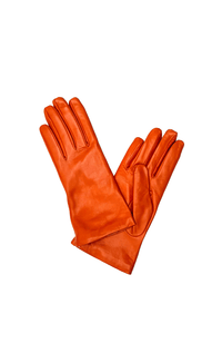 Caridei- Leather Gloves - Barrington's