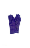 Leather Gloves - Seasonal Colours - Barrington's