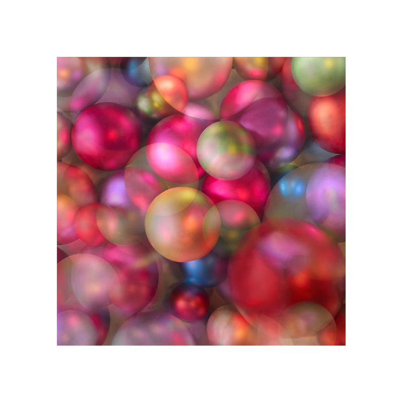 Modal & Cashmere Scarf- Celebration