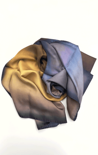 Barbieri- 100% Silk Reversible Scarf