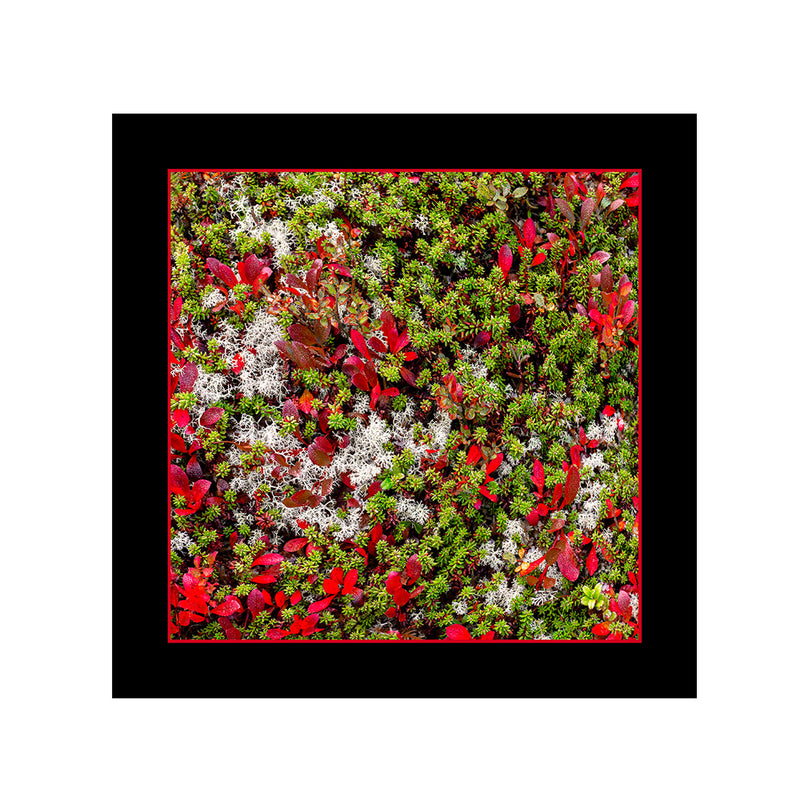 Modal & Cashmere Scarf- Tundra, Yukon