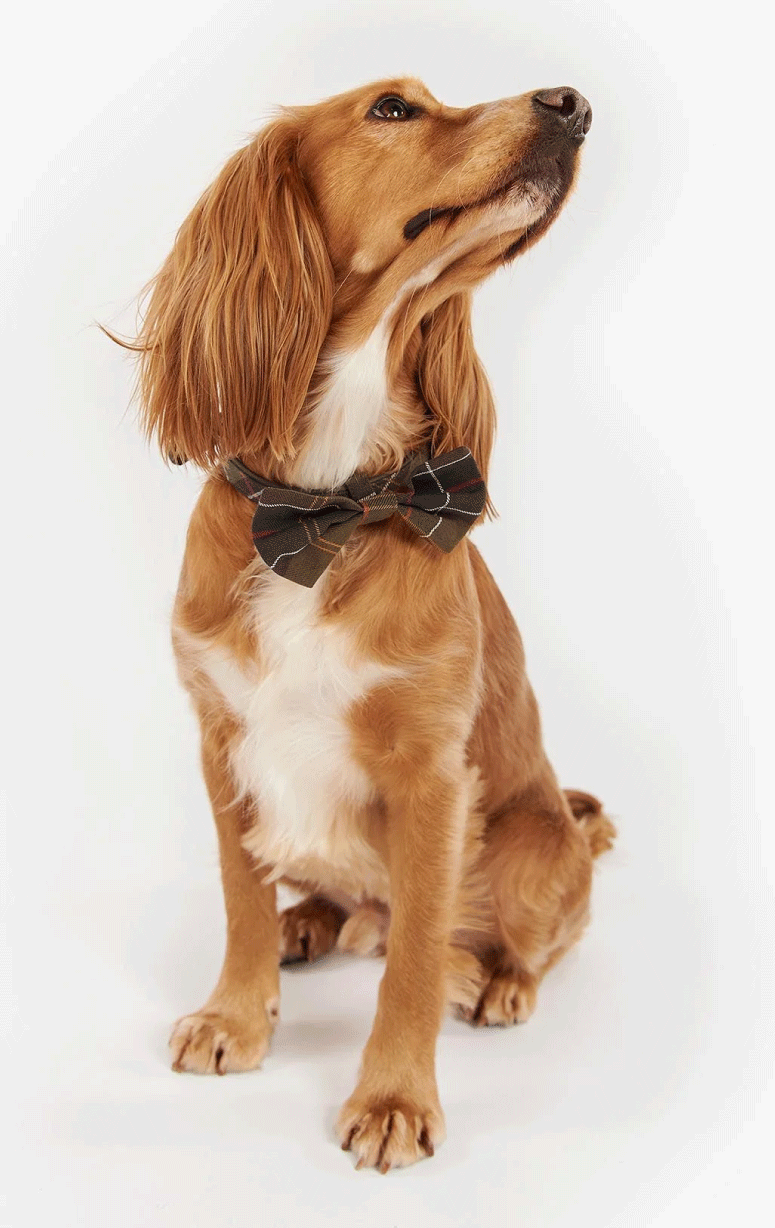 Barbour- Tartan Bow Tie