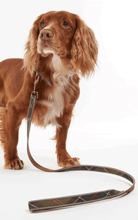 Barbour- Tartan Reflective Lead