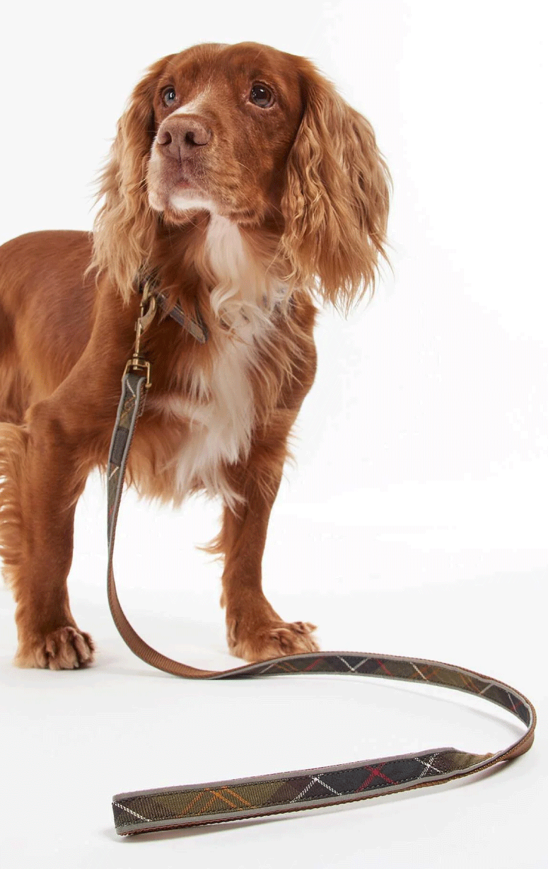 Barbour- Tartan Reflective Lead