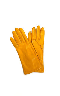 Leather Gloves - Seasonal Colours - Barrington's