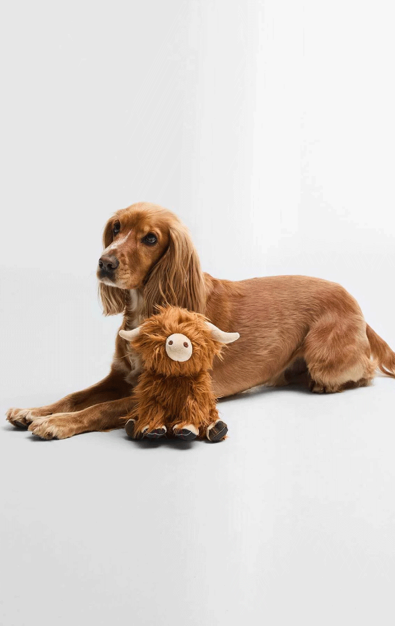 Barbour- Highland Cow Dog Toy