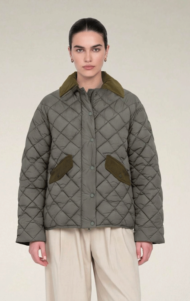 Save The Duck - Quilted Jacket