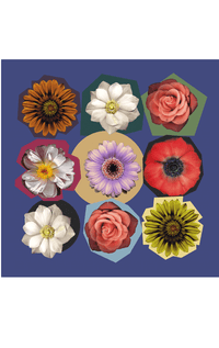 Barbieri- Silk Square Scarf - Barrington's