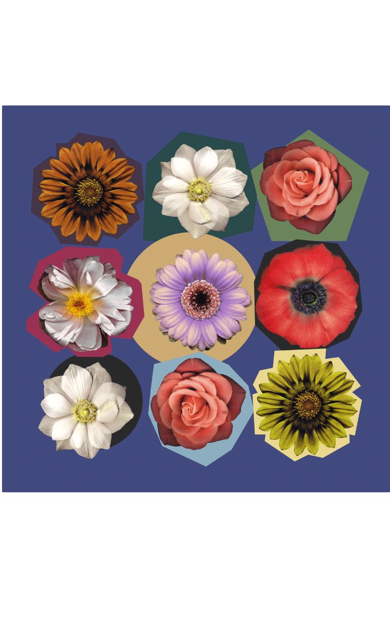 Barbieri- Silk Square Scarf - Barrington's