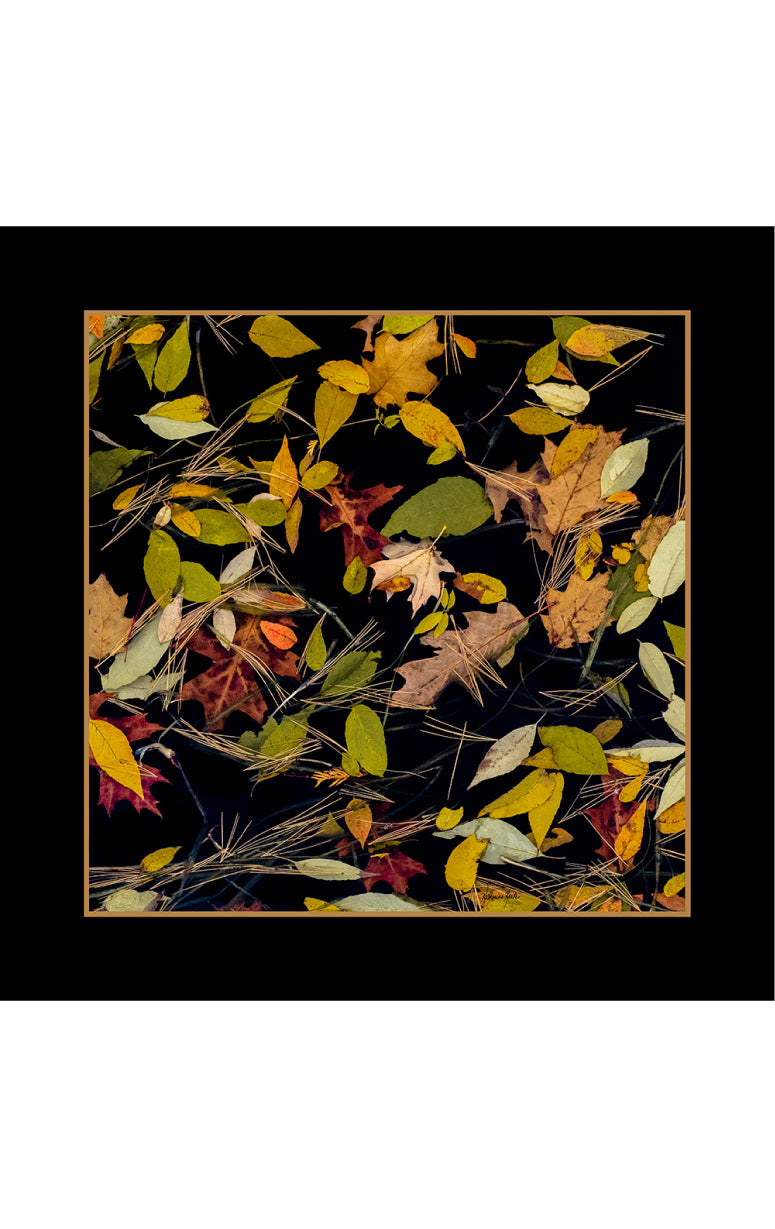Modal & Cashmere Scarf- October Vignette
