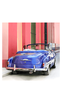 Lolili- Modal & Cashmere Scarf Purple Car - Barrington's