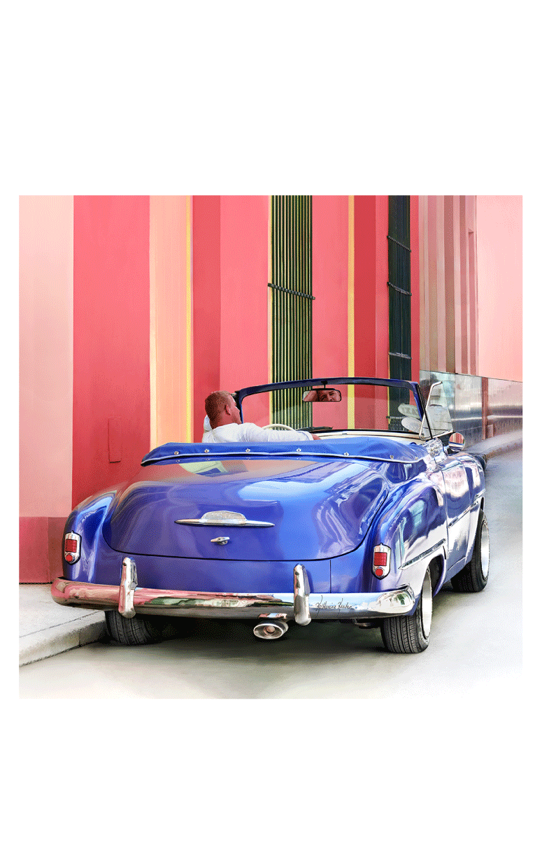 Lolili- Modal & Cashmere Scarf Purple Car - Barrington's