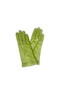 Leather Gloves - Seasonal Colours - Barrington's