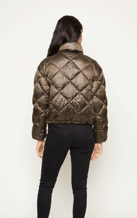 Violanti- 3/4 Down-filled Jacket with Stud Detail - Barrington's