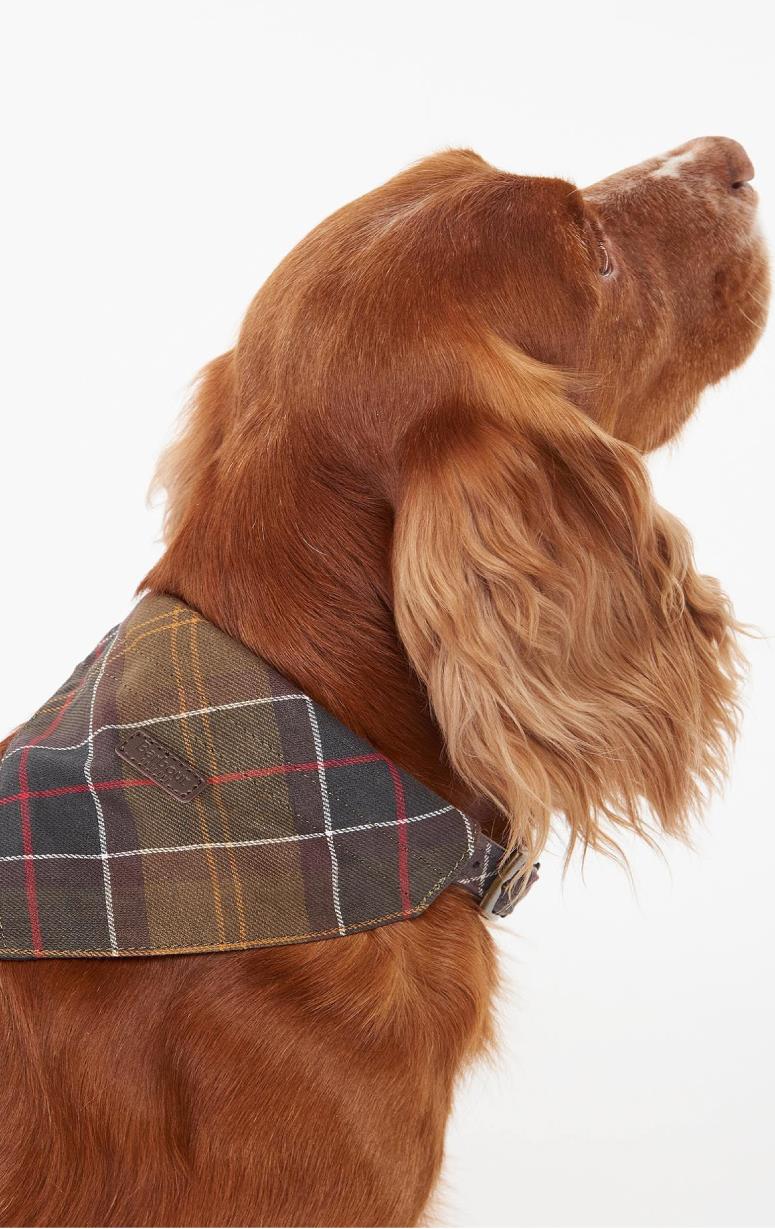 Barbour Tartan Dog Bandana Barrington s