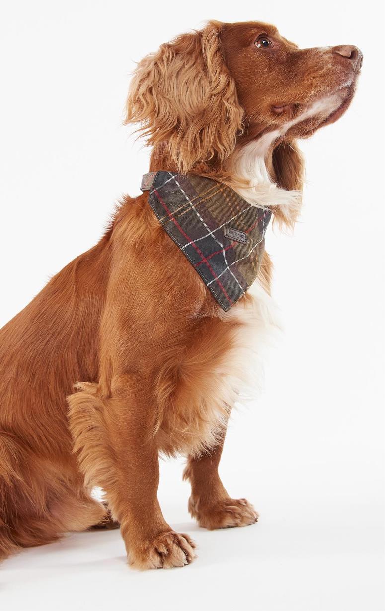 Barbour dog neckerchief on sale