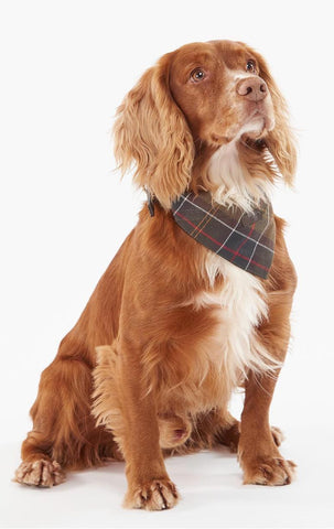 Barbour classic deals tartan dog collar